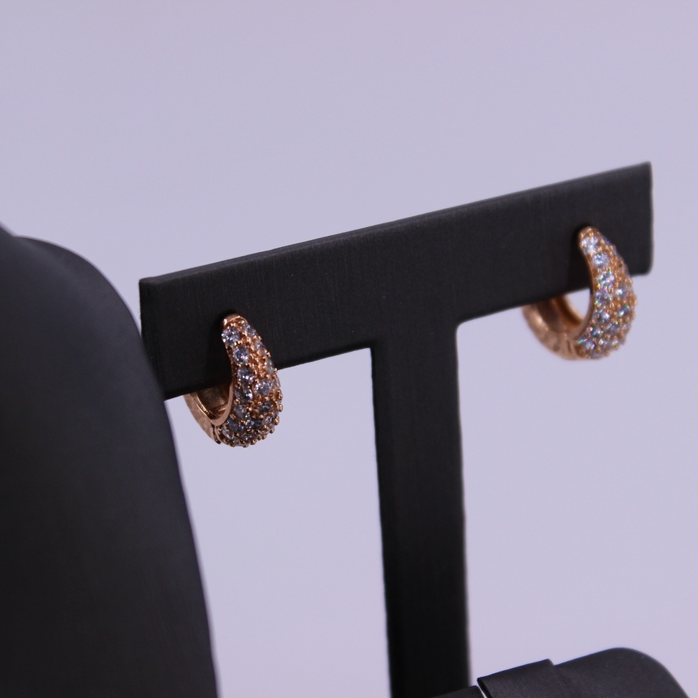 Small Gold Hoop Earrings